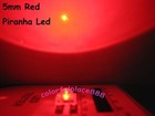 5mm Red yellow blue white orange Warm Piranha Superflux Led Dome Wide Angle New