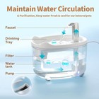 Cat Water Fountain Automatic 50oz Pet Water Fountain For Cats Kitten Dogs
