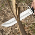 13  Handmade D2 Steel Bowie Knife     Full Tang Fixed Blade With Leather Sheath