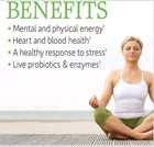 Garden Of Life Vitamin B Complex  60 Vegan Capsules  High-potency Vitamins   