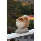 Aurora   Realistic Miyoni   Pomeranian Stuffed Animal - 9 Inches