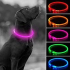 Led Light Up Dog Collar Pet Night Safety Bright Flashing Adjustable Nylon 2025