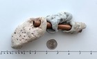 3 Holey Beach Rocks Adder Hag Stones Fairy Natural Large 1 2    Hole Aquarium  5b