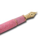 Platinum  3776 Celluloid Fountain Pen Sakura Medium Nib Ptb-35000s 40-3