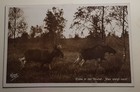 1935 Lithuania Postage Taxe Due Memel Nida Cranz Austria Salzburg Moose Forest