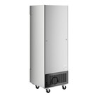 29  Solid Door Reach-in Freezer