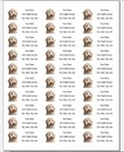 150 Golden Doodle Dog Mailing Return Address Labels Personalized  1 X 2 5 8 In 