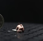 Painted 1 64 Mini Figure Diorama For Sand Scene Prop Decor Car Vehicle Model Toy