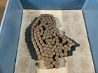 Peer Roller Chain