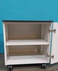 24  Rolling Lab Cabinet W shelf  sku 115130 