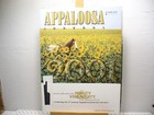 Vintage Appaloosa News Magazine Original October 2000 2 Covers