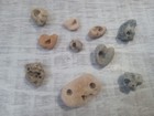 Hag Stone Lot Of 10 Stones Natural Ocean
