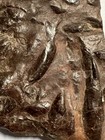 Fossil Plate Of Various Different Fossils  3