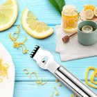 Stainless Steel Lemon Zester   Grater     Kitchen Peeler Grater Wholesale Lot