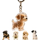 1pc Dog Hair Collector Keychain Charm Memorial Storage Box Pet Hair Keepsake