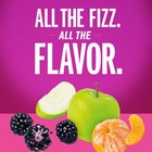 Izze Sparkling Juice  4 Flavor Variety 8 4 Fl Oz  pack Of 24   Beverages