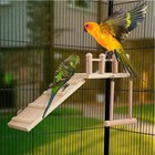 Bird Perches Platform Swing Climbing Ladder Parrot Cage Accessories Wooden Toys