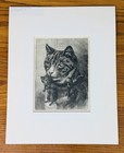 Lot Of 2 Cat   Kittens Vtg Framed Engraved Illustrations B w 1897 Butterflies