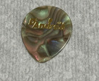 The Allman Brothers Warren Haynes Rare Guitar Pick Signature Tour Concert Stage  