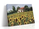 Canvas Art Print Gicl  e Or Poster - Pillow - Sunflower Field Tuscany Country
