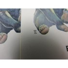 Vintage 1954 Old Maid Wildlife Edition Card Game National Wildlife Federation