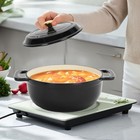 5qt Multi-purpose Enameled Cast Iron Dutch Oven  Grill   Induction Compatible