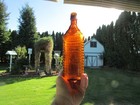 4 Log Drakes Bitters  Medium Amber