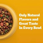 Pedigree High Protein Lamb  Beef And Red Meat Flavor Dry Dog Food - 18lbs