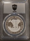   1 Oz Silver  2025 Somalia African Elephant Ag 100 Shillings Pcgs Ms70 Ultra
