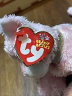 Ty Beanie Baby - Carnation The Pink Cat  6 Inch  - Mwmts Stuffed Animal Toy