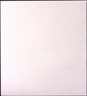 Prize White Swam   Gold Bond Brooms Amsterdam Broom Co Store Poster Maid Sweeps