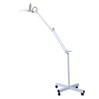 Floor Led Beauty Magnifier Lamp 5x Magnified Light For Makeup