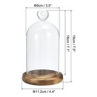 7 1 x3 5  Glass Dome Cloche Clear Glass Bell Jar Display Case With Wooden Base