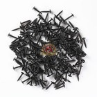  8 X 1  Phillips Truss Head Screws 500 Pcs Free Shipping