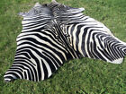 Large    Zebra Print Printed Cowhide Rug Natural Cow Hide Skin Beige White Z