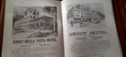1920s Madeira Illustrated Ads Guide Book Travel Portugal Tourism 48p Brochure