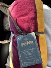 Pottery Barn Teen Harry Potter    Gryffindor    Beach Towel 