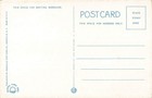 Vintage Palm Trees And Flowers Florida Linen Postcard By Asheville Post Card Co 