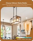 Edishine 6 Pack Vintage Led Edison Bulbs st64 Dimmable 2200k Amber Warm Light