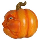 10  Squishy Face Character Pumpkin