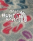 North Face Toddler Glacier Full Zip Hoodie Muted Pink Folk Size 5 Brand New      