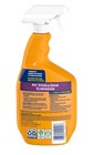 Arm   Hammer Pet Home Care Pet Stain Odor Eliminator 32oz