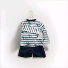 Carters Baby Boys Frog Stripe Rash Guard Swim Set - 18 Months