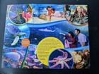 Aquarium At The Boardwalk  Branson Missouri Travel Brochure 