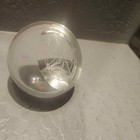 Clear Glass Compass Star Paperweight 3 5  