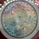 1882 Morgan Silver Dollar - Ngc Ms 64 Star     monster Toning    