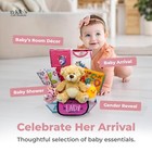 Deluxe 15-piece New Baby Gift Basket   Newborn Baby Girl Gift Set 