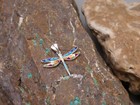 Dragonfly Southwestern Sterling Silver Small Pendant Multi Gemstone   Opal S18