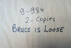 Bruce Is Loose Original Us Movie Poster 1970s Vintage Exploitation Film