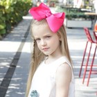 12 Pcs Hair Bows For Girls Clips Ribbon Hair Bow Alligator Clips For Girls Teens